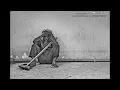علي بحر شغل الشرف
