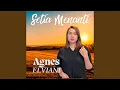 Download Lagu SETIA MENANTI