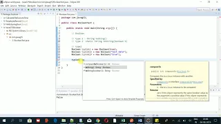 Java Lang Package - Boolean class-toString