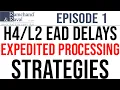 H4 and L2 EAD Delays Expedited Processing Strategies