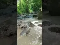 Lagu ketahuan berak di sungai.