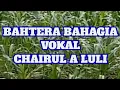 Download Lagu BAHTERA BAHAGIA,CHAIRUL LULI