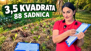 Bašta Na Samo 3,5 KVADRATA - Da Li Je Moguće?