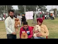 Dog show bathinda 31 12 2023