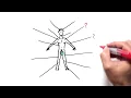 Phenotypic Flexibility as biomarker of health