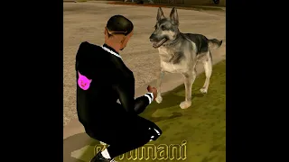 واقف على الموقف وبكلبي 