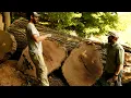 Download Lagu Cave City, Kentucky | a Community Documentary #cinematic #fujixseries #filmic