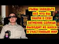 Download Lagu РЫБЫ В ШОКЕ! Узнайте как 5 дней перевернут жизнь с ног на голову. Открыт путь СЧАСТЬЮ