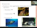 Download Lagu Population Ecology
