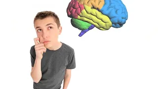 Neurociência do aprendizado.