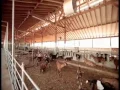 Think Green Think of Riverland Farm