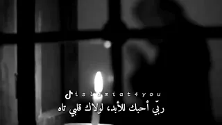 أنشودة قلبي على بابك سجد   ماهر زين دندنها