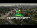 Urban Farming in Detroit Cultivating Community Sustainability and Regeneration