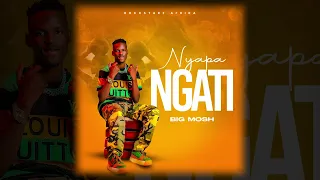 Nyapa Ngati By Big Mosh 