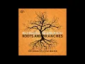 BILLY BRANCH (Great Lakes, Illinois, U.S.A) & THE SONS OF BLUES - 13 - You're So Fine