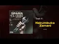 Download Lagu NIKKI MBISHI - Nakumbuka Zamani