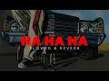 HA HA HA | Dhanda Nyoliwala | FEELVIB Slowed & Reverb music #slowedandreverb