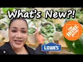 New Indoor Plants at Home Depot Lowe s