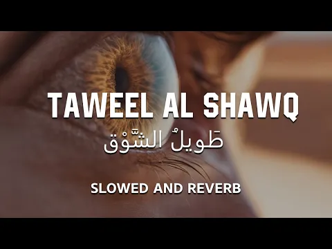 Download MP3 Taweel Al Shawq | Slowed + Reverb 💙