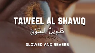 Taweel Al Shawq Slowed Reverb 