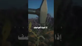 حكمة 