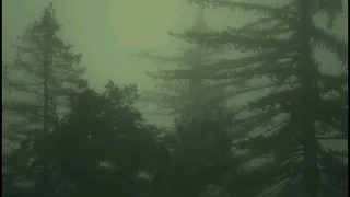 حمزة نمرة   داري ياقلبي   بدون موسيقى دندنها
