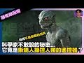 Download Lagu 【離奇爆爆爆】月亮不是你看的月亮｜科學家不敢說的秘密...｜它竟是蜥蜴人操控人類的遙控器？｜娛樂爆爆爆