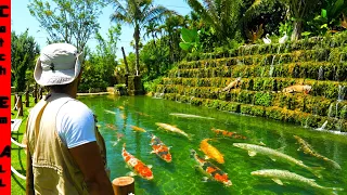 BUILDING a $1 MILLION DOLLAR Backyard Exotic FISH WATERFALL into Pond!