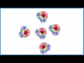 How many hydrogen bonds can a water molecule form