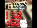😻 🌹 ❄️ My Favorite Things（電影真善美插曲) : 我最喜愛的東西