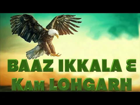 Download MP3 Eh BAAZ Ikkala Hai (ਇਹ ਬਾਜ਼ ਇਕੱਲਾ ਹੈ ਇਸਦੇ ਮਗਰ ਨੇ ਬਹੁਤ ਸ਼ਿਕਾਰੀ ) - KAM LOHGARH & Ladhubhanie
