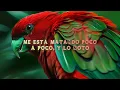 Hombres G - Lo noto