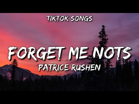 Download MP3 Patrice Rushen - Forget Me Nots [TikTok Songs] (Lyrics)