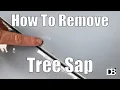 How to quickly remove tree sap from your vehicle AMAZINGLY EASY The Detailing Business