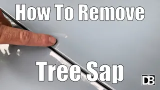 How to quickly remove tree sap from your vehicle AMAZINGLY EASY The Detailing Business