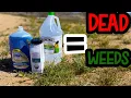 How every Homeowner should kill weeds Safe for pets with Vinegar and Dawn
