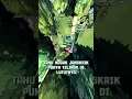 Download Lagu Jangkrik dengerin pake lutut? 😳 Gajah pakai kaki? Klik link deskripsi buat yang lebih absurd!