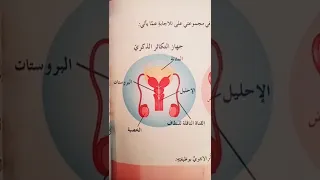 ما الفرق بين جهاز التكاثر الأنثوي وجهاز التكاثر الذكري اكتب في التعليقات 