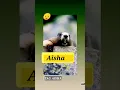 Lagu Aisha Name 😂#aisha  #status #statusvideo #funnyvideo #firstshortvideo #whatsappstatus #comedy #meme