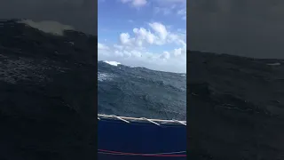 Sailing in the 🌊