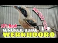 Download Lagu MASTERAN CENDET FULL TENGKEK BUTO WERKUDORO CENDET MATERI MEWAH KEKINIAN TEMBAKAN PANJANG²