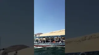 محمد منير العشق والهوي اسوان والنيل والاجنبي والمصري بحبك اوي يا هبه 