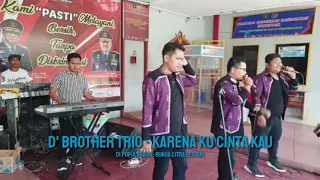 d brother trio karena ku cinta kau bcl 