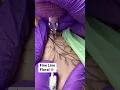 Flower fine line tattoo