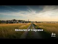 Lagu MEMORIES OF FRAGRANCE | Romantic Chanson | Official Lyric Video | Beta2Gamma