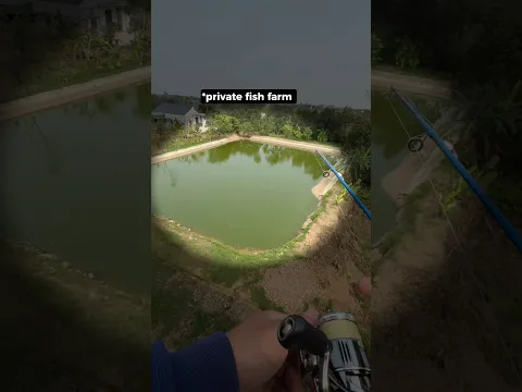 Fishing in a private fish farm from a bridge?! π±π