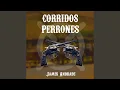 Mi Despedida