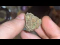 Candyland Strain Review