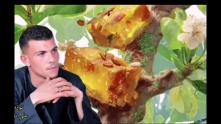 جديد وحصري شجرة البسبوسة       دندنها