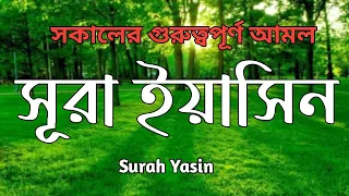 সূরা ইয়াসিন তেলাওয়াত। سورةيس। Sueah Yasin best voice quran tilawat by liakot ali ।